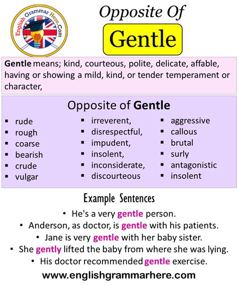 gentle übersetzung|gentle opposite.